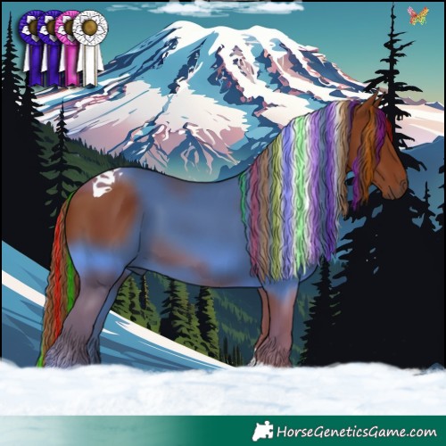 Horse Color:Painted Chestnut Tobiano 