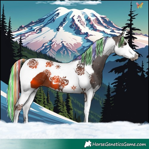 Horse Color:Painted Silver Brown Splash Tobiano 