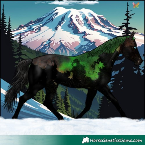 Horse Color:Void Brown Sabino Splash 