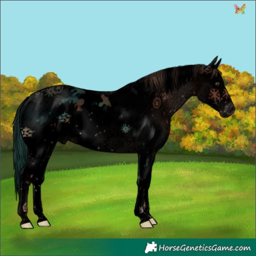 Horse Color:Void Liver Chestnut Splash Tobiano 