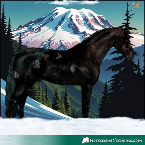 Horse Color:Void Liver Chestnut Splash Tobiano 