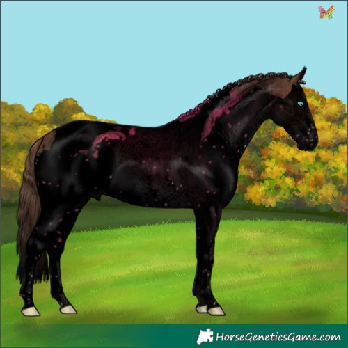 Horse Color:Void Liver Chestnut Splash Tobiano 