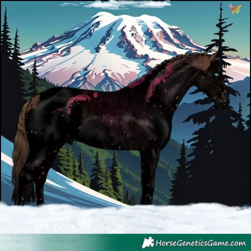 Horse Color:Void Liver Chestnut Splash Tobiano 