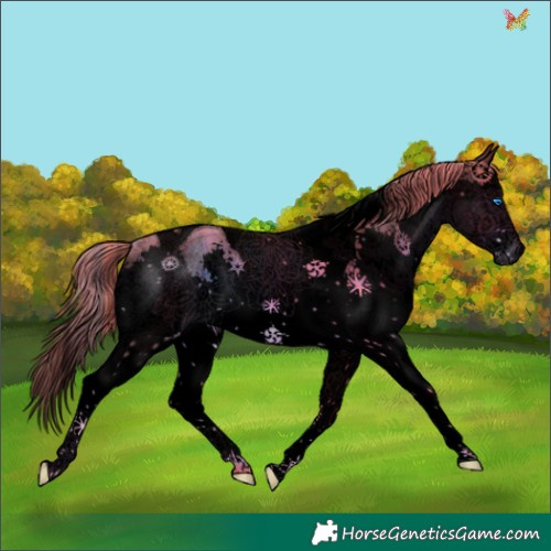 Horse Color:Void Watercolor Liver Chestnut Splash Tobiano 