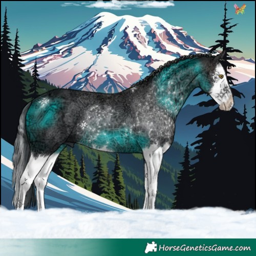 Horse Color:Brown Ice Splash 