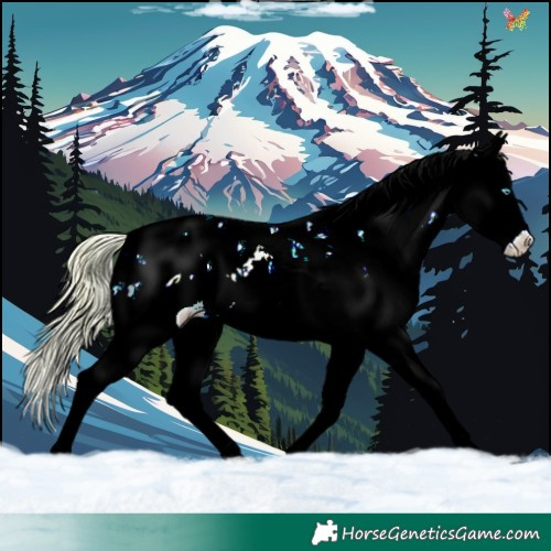Horse Color:Chocolate Palomino Pearl Sabino Splash Appaloosa Rabicano 