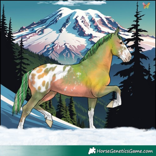Horse Color:Painted Watercolor Silver Black Sabino Appaloosa 