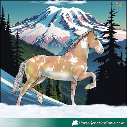 Horse Color:Watercolor White Spotted Silver Brown 