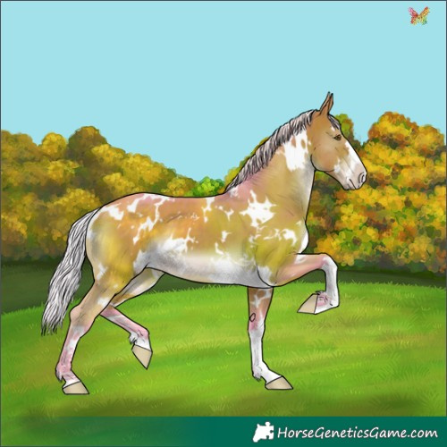 Horse Color:Watercolor White Spotted Silver Brown 