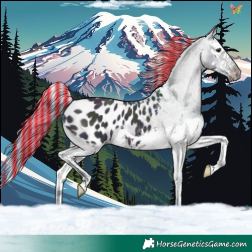 Horse Color:Painted Watercolor Midnight Bay Ice Splash Blanket 