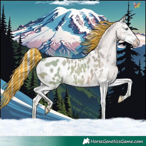 Horse Color:Painted Watercolor Silver Classic Champagne Splash Blanket 