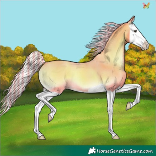 Horse Color:Painted Watercolor Silver Sable Champagne Onyx Splash 