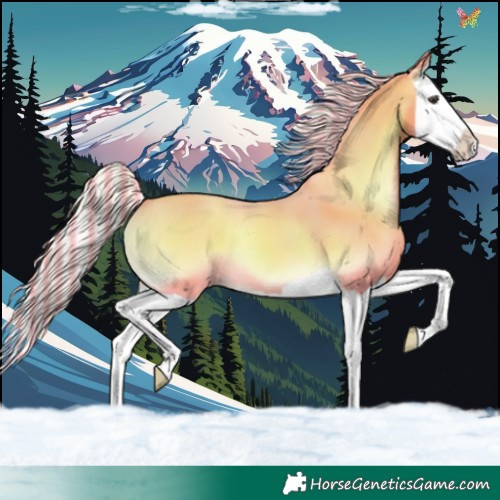 Horse Color:Painted Watercolor Silver Sable Champagne Onyx Splash 