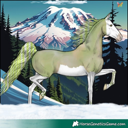 Horse Color:Painted Watercolor Silver Sable Champagne Splash 