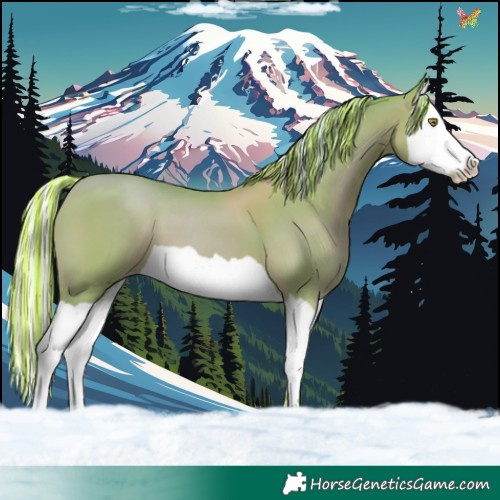 Horse Color:Painted Watercolor Silver Sable Champagne Splash 