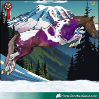 Horse Color:Chocolate Palomino Tobiano