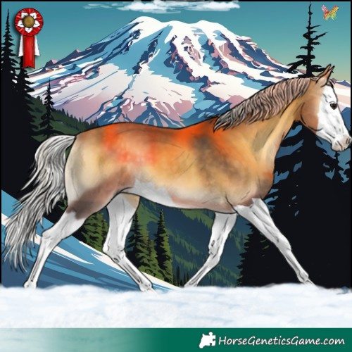 Horse Color:Silver Buckskin Onyx Splash 