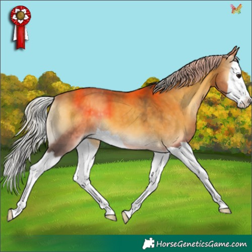 Horse Color:Silver Buckskin Onyx Splash 