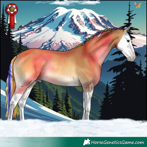 Horse Color:Painted Palomino Onyx Splash Rabicano 