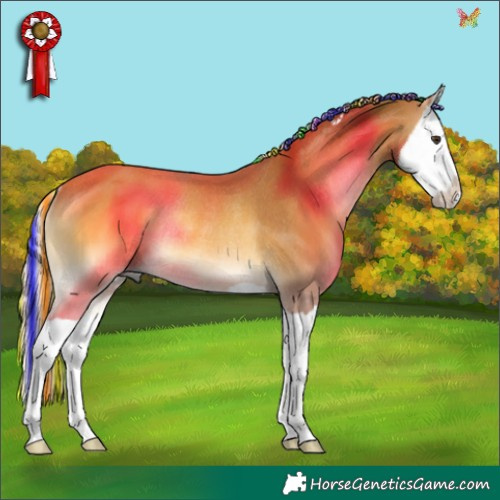 Horse Color:Painted Palomino Onyx Splash Rabicano 