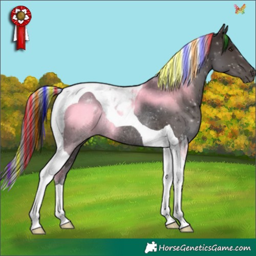 Horse Color:Painted Liver Chestnut Tobiano Rabicano 