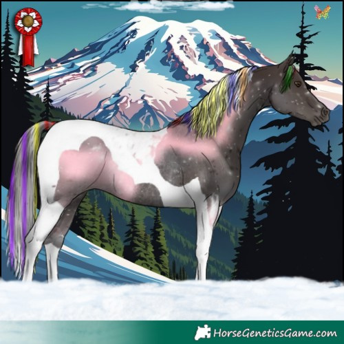 Horse Color:Painted Liver Chestnut Tobiano Rabicano 