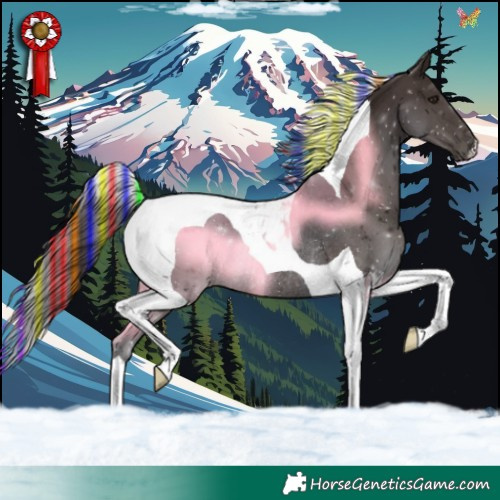 Horse Color:Painted Liver Chestnut Tobiano Rabicano 