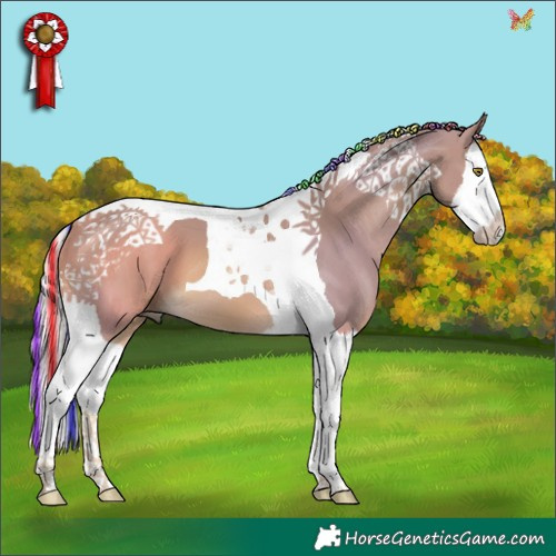 Horse Color:Painted Watercolor Palomino Splash Tobiano 