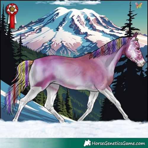 Horse Color:Painted Watercolor Chocolate Palomino Onyx Splash 