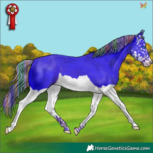 Horse Color:Painted Watercolor Liver Chestnut Splash 