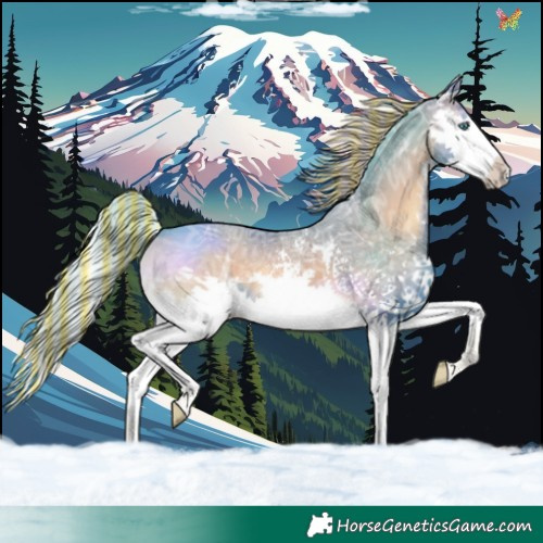 Horse Color:Painted Watercolor White Spotted Silver Blue Onyx Ice Splash 