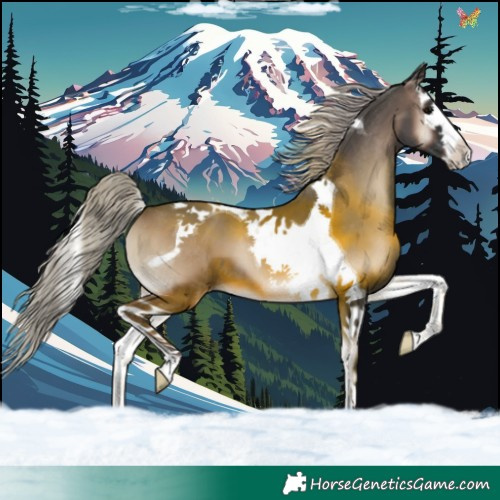 Horse Color:Silver Blue Onyx Splash Tobiano 