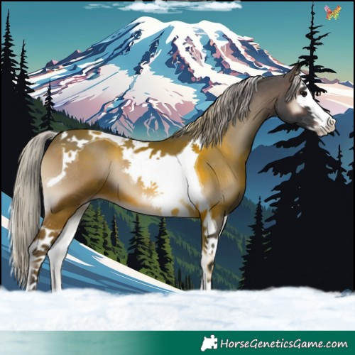 Horse Color:Silver Blue Onyx Splash Tobiano 