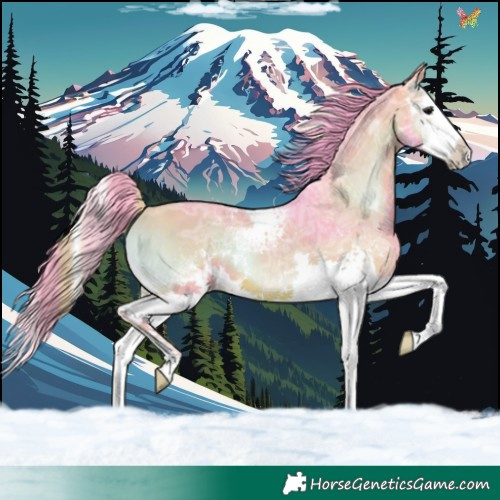Horse Color:Watercolor White Spotted Brown Ice Onyx Splash 