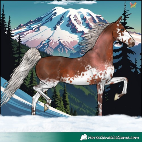 Horse Color:White Spotted Silver Brown Splash 