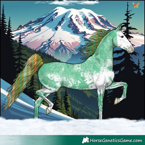 Horse Color:Painted Watercolor White Spotted Black Ice Splash 