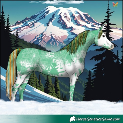 Horse Color:Painted Watercolor White Spotted Black Ice Splash 