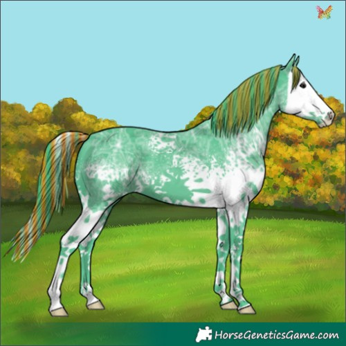 Horse Color:Painted Watercolor White Spotted Black Ice Splash 