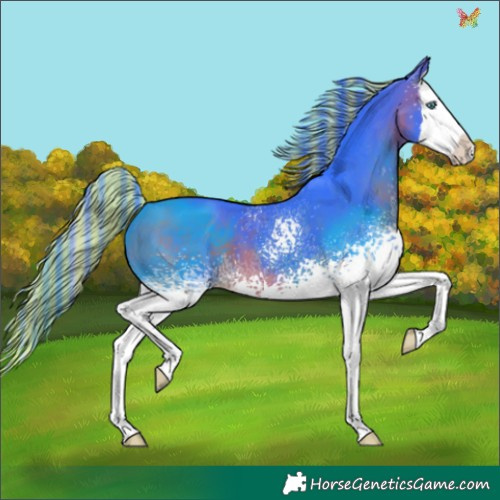 Horse Color:Painted Watercolor White Spotted Brown Splash 