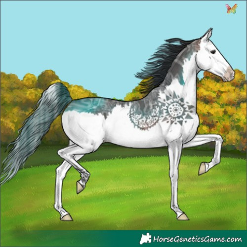 Horse Color:White Spotted Brown Ice Splash 
