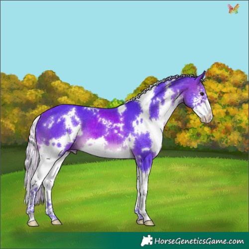 Horse Color:Watercolor White Spotted Silver Brown Splash 