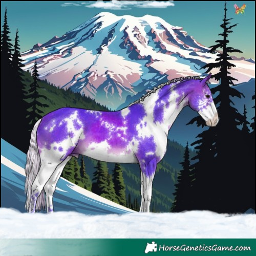 Horse Color:Watercolor White Spotted Silver Brown Splash 