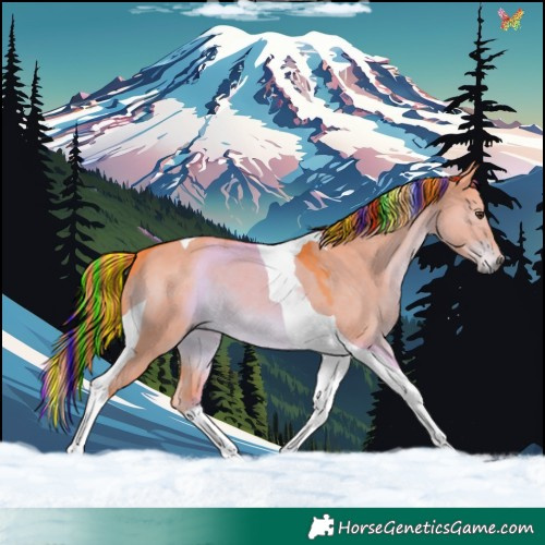 Horse Color:Painted Watercolor Liver Red Dun Tobiano 