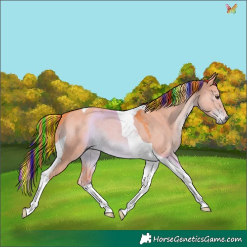 Horse Color:Painted Watercolor Liver Red Dun Tobiano 