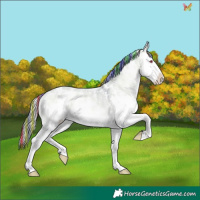 Horse Color:Painted Watercolor White Spotted Brown Chinchilla Onyx Sabino Splash 