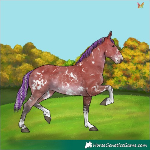 Horse Color:Painted White Spotted Silver Brown Sabino 