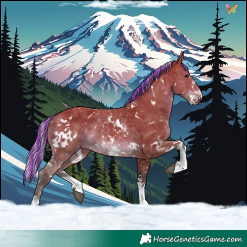 Horse Color:Painted White Spotted Silver Brown Sabino 