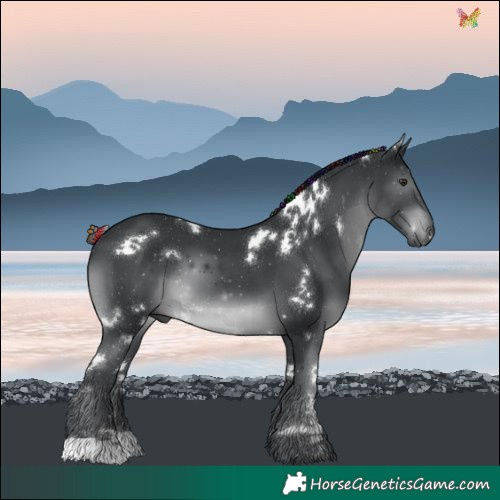 Horse Color:Painted White Spotted Black Chinchilla 