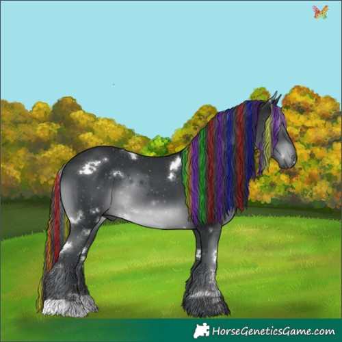 Horse Color:Painted White Spotted Black Chinchilla 