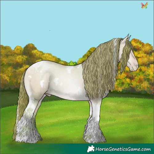 Horse Color:Watercolor White Spotted Buckskin Chinchilla Pearl Dun Tobiano 